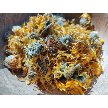 Calendula officinalis