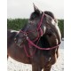 Rope halter with reins Bordeaux