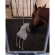 Jouets pour chevaux: Cheval