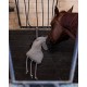 Speelgoed voor paarden: paard