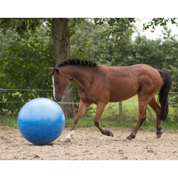 Ballon de jeu pour chevaux 80 - 100cm - QHP