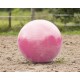 Ballon de jeu pour chevaux 80 - 100cm - QHP