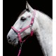 Halter Stars Softice - HKM - shet