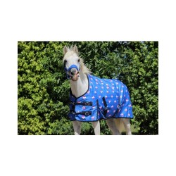 HB Harry and Hector Outdoor rug Unicorn