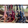 HB Halter + leadrope Eclipe
