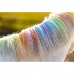 Lucky Horse Unicorn crayons de couleur arc-en-ciel
