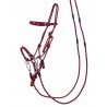 Licol éthologique multifunctional QHP
