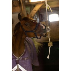 Lax alfalfa (luzerne) sur corde de jeu pour chevaux