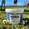 Glucose support 600gr