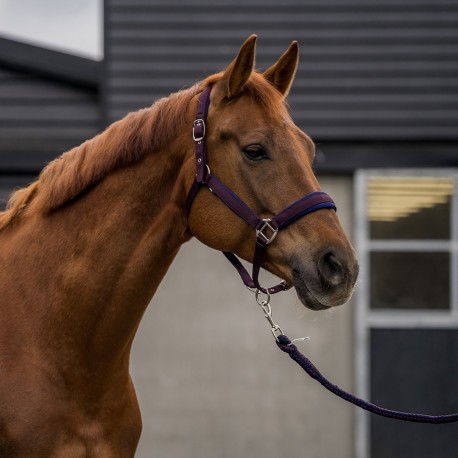 Halster + halstertouw Horka Olijf groen