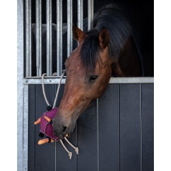 Toys for horses - Ball QHP-