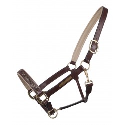 Halter leather Lupine QHP