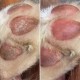 Nellumbo Zalf natuurlijk voor de kussens 50ml