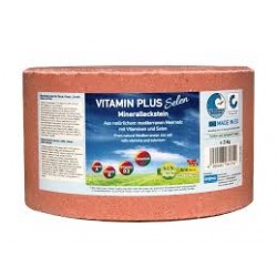 Pierre à lécher VitaminPlus Selen