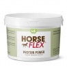 HorseFlex Protein Power