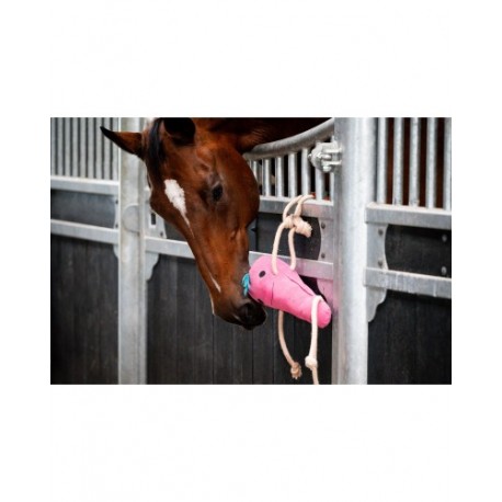 HB Jouet pour chevaux Carotte
