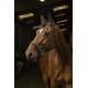 Norton side pull pro confort havane