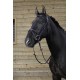 Riding world bridon muserolle combineé