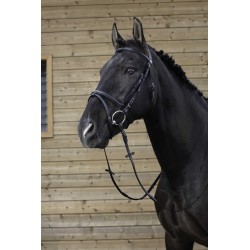 Riding world bridon muserolle combineé