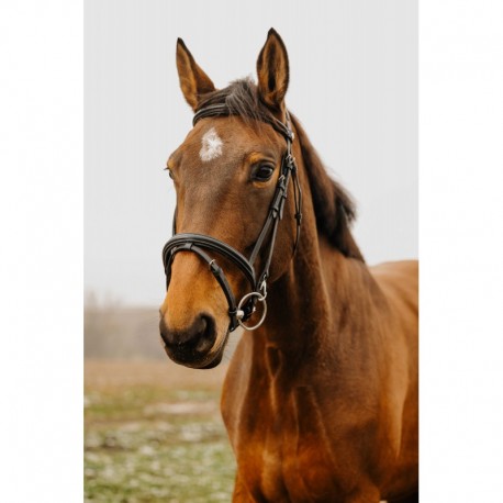 Bridon Norton Club easy Cob