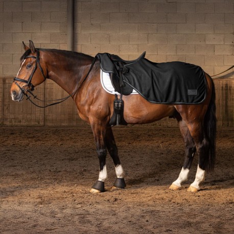 Harry's horse couvre rein