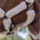 Licol NORTON "mouton synthétique"
