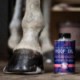 Bleu Roy hoof oil