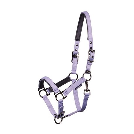 Harry's Horse licol poulain