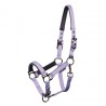 Harry's Horse licol poulain