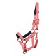 Harry's Horse licol poulain