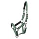 Harry's Horse licol poulain