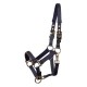 Harry's Horse licol poulain