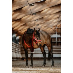 Equithème licol et longe XMAS