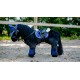 Mini poney Eclair (noir)