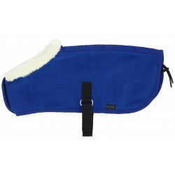 Mini couverture Pony Acedemy
