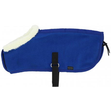 Mini couverture Pony Acedemy