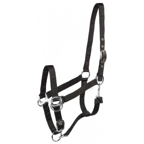 Training halter